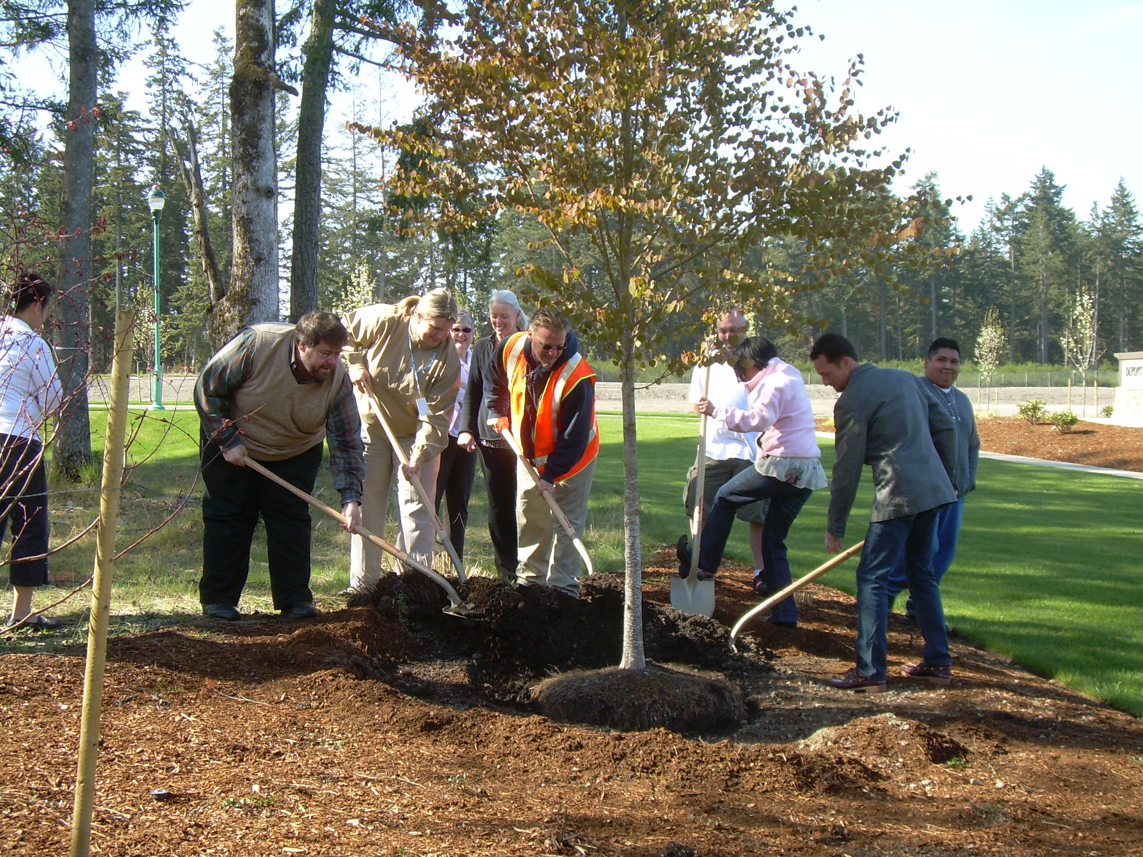 Arbor Day 2009 (3)